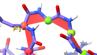 a series of cis peptide bonds